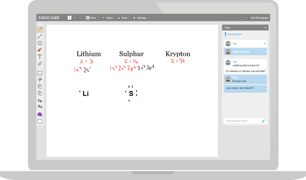 Chemistry Online Tutoring Session